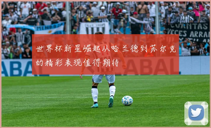 世界杯新星崛起从哈兰德到苏尔克的精彩表现值得期待
