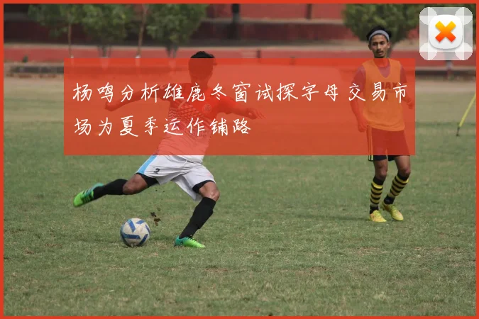 杨鸣分析雄鹿冬窗试探字母交易市场为夏季运作铺路