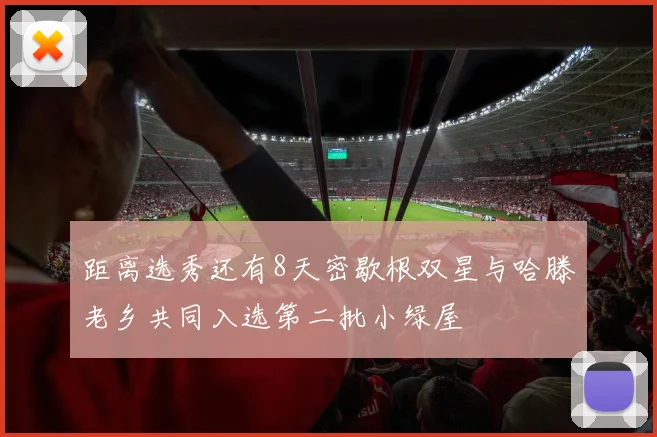 距离选秀还有8天密歇根双星与哈滕老乡共同入选第二批小绿屋